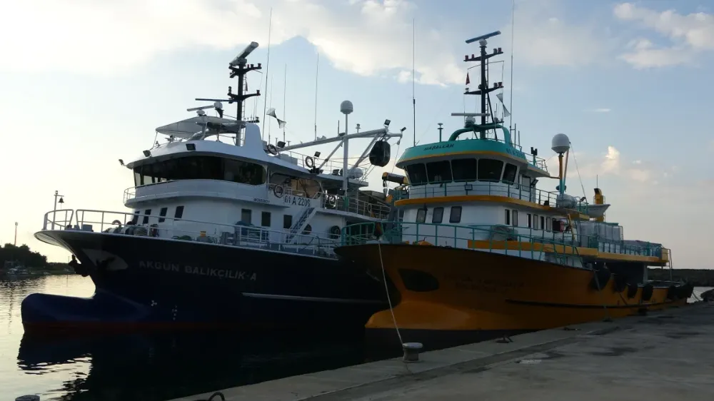 Balıkçılar av yasağının kalkmasıyla